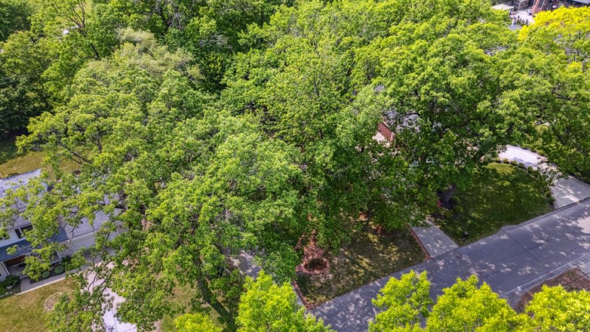 Aerial photo 8 — 5959 Rosetta St, Dearborn Heights, MI