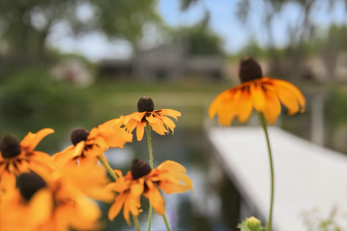 Listing photo 85 — 701 Artdale Dr, White Lake, MI