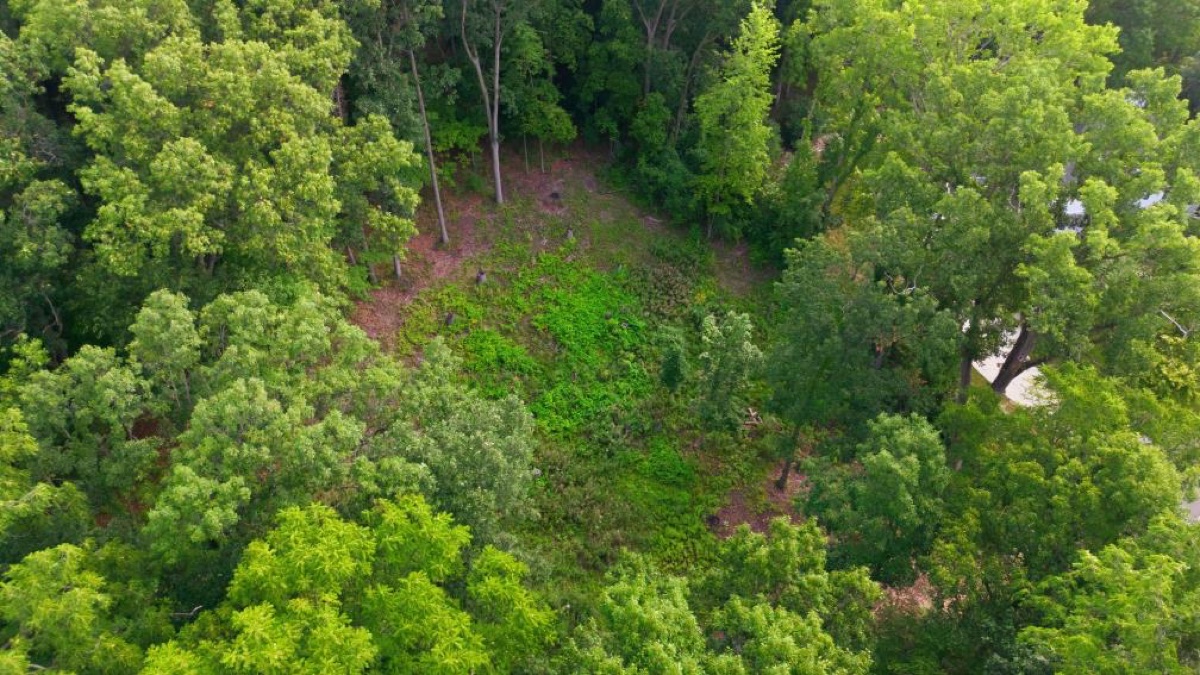 Aerial photo 2 — Ann Arbor, MI