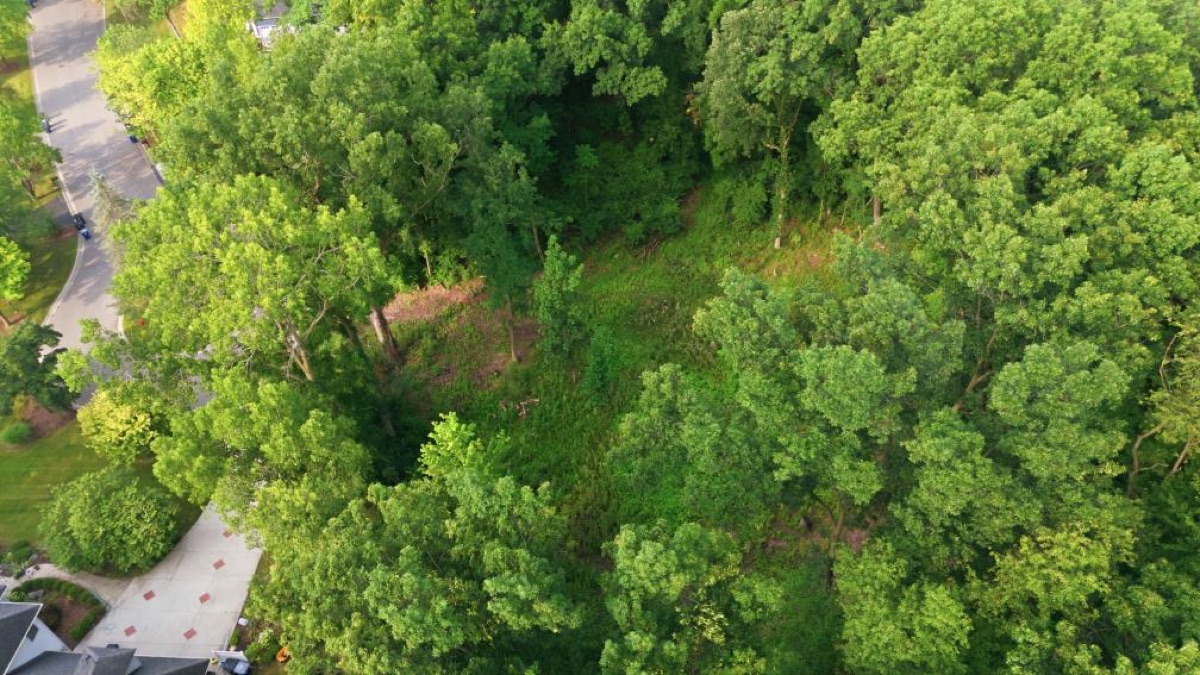 Aerial photo 3 — Ann Arbor, MI