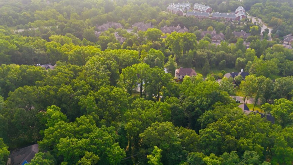 Aerial photo 7 — Ann Arbor, MI