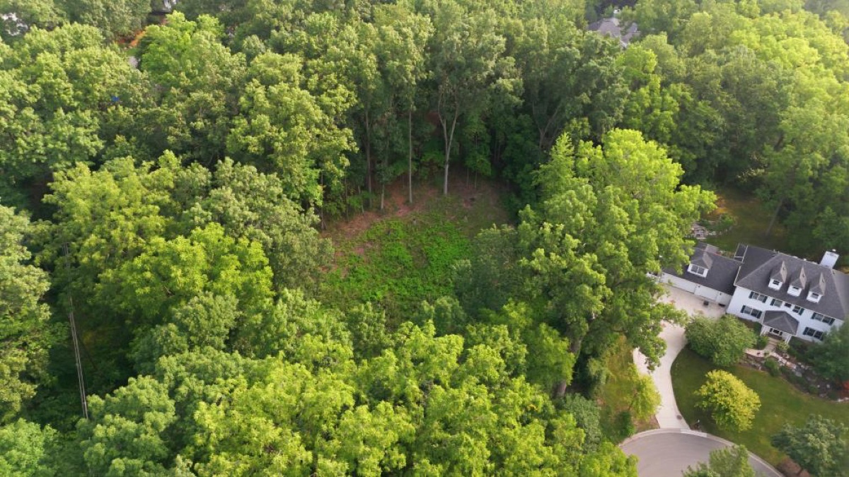 Aerial photo 15 — Ann Arbor, MI