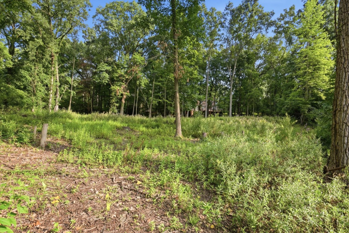 Listing photo 6 — Ann Arbor, MI