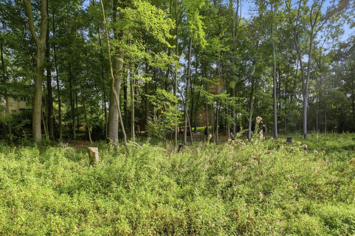 Listing photo 9 — Ann Arbor, MI