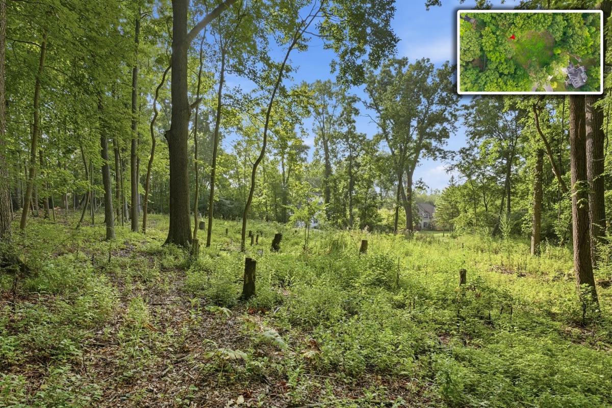 Listing photo 10 — Ann Arbor, MI