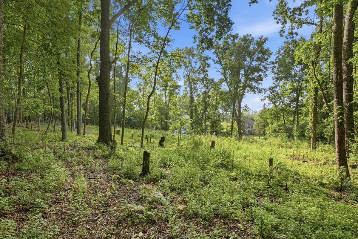 Listing photo 11 — Ann Arbor, MI