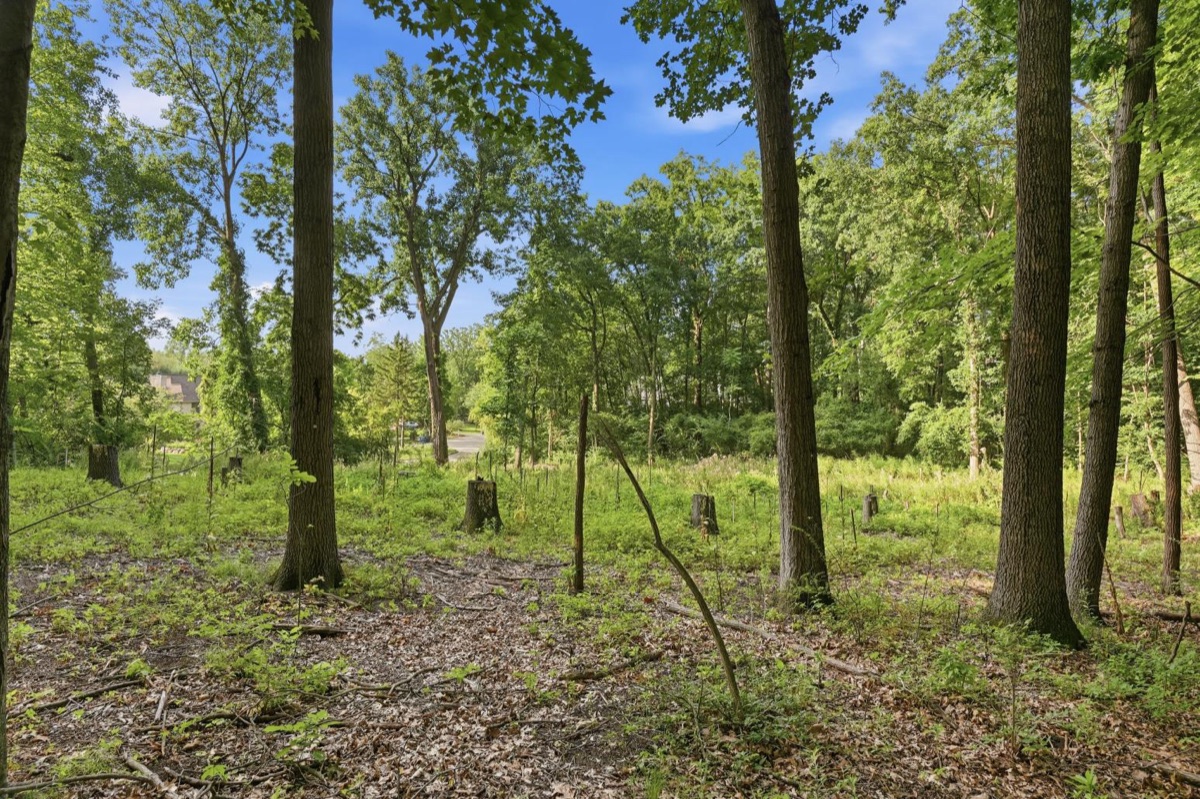Listing photo 13 — Ann Arbor, MI