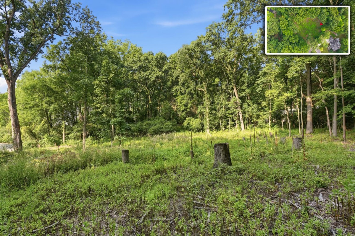 Listing photo 16 — Ann Arbor, MI