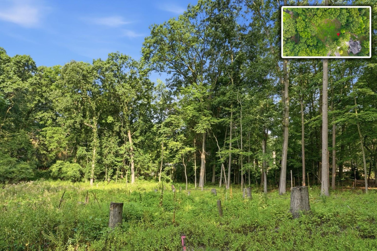 Listing photo 18 — Ann Arbor, MI