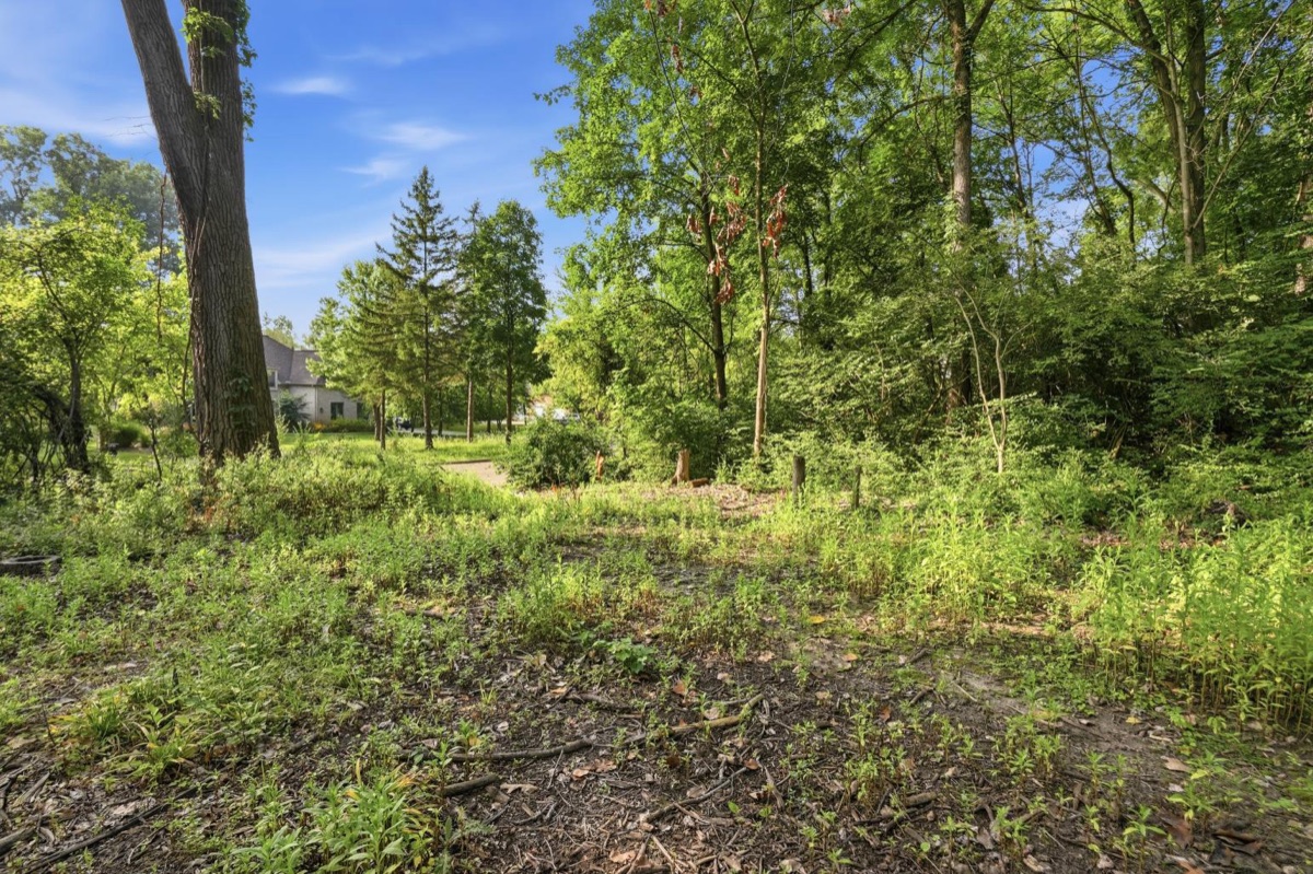 Listing photo 21 — Ann Arbor, MI