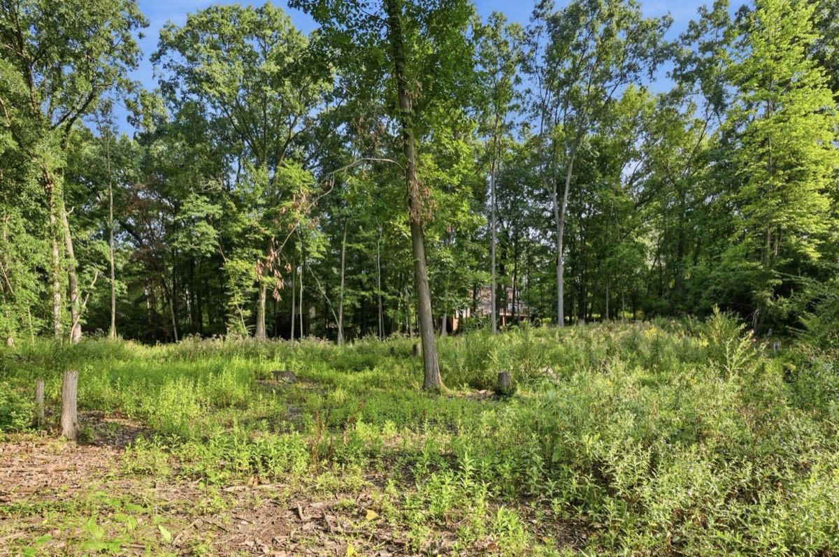Listing photo 23 — Ann Arbor, MI