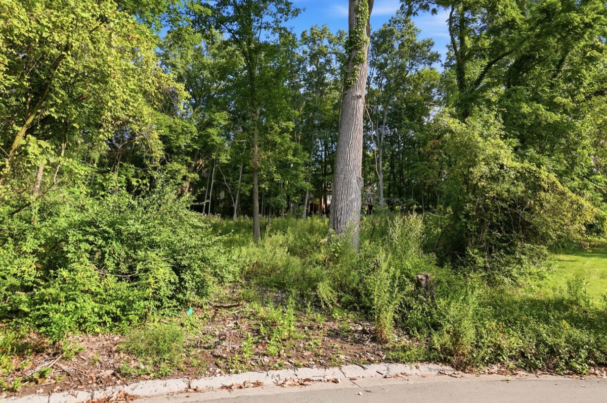Listing photo 25 — Ann Arbor, MI