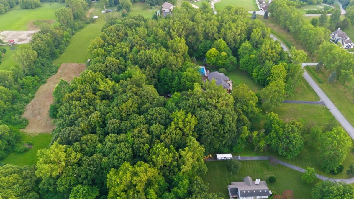 Aerial photo 3 — Carleton, MI