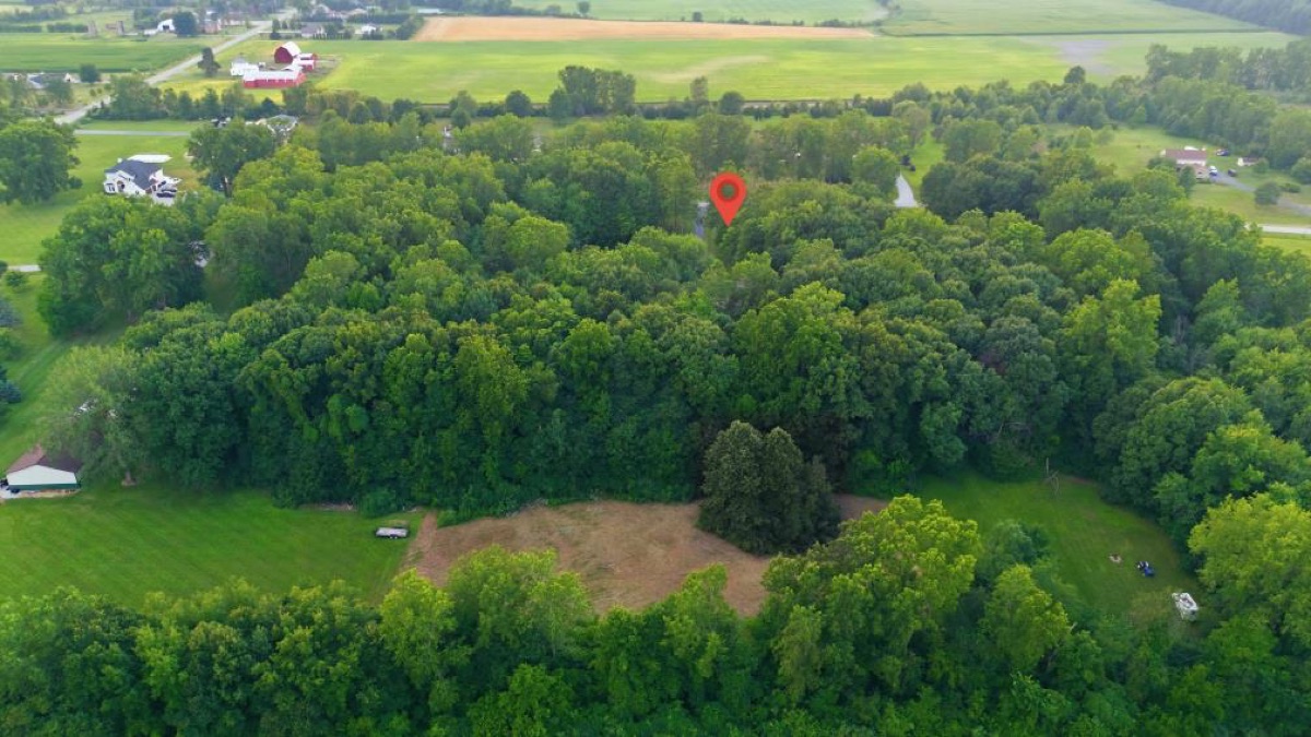 Aerial photo 8 — Carleton, MI
