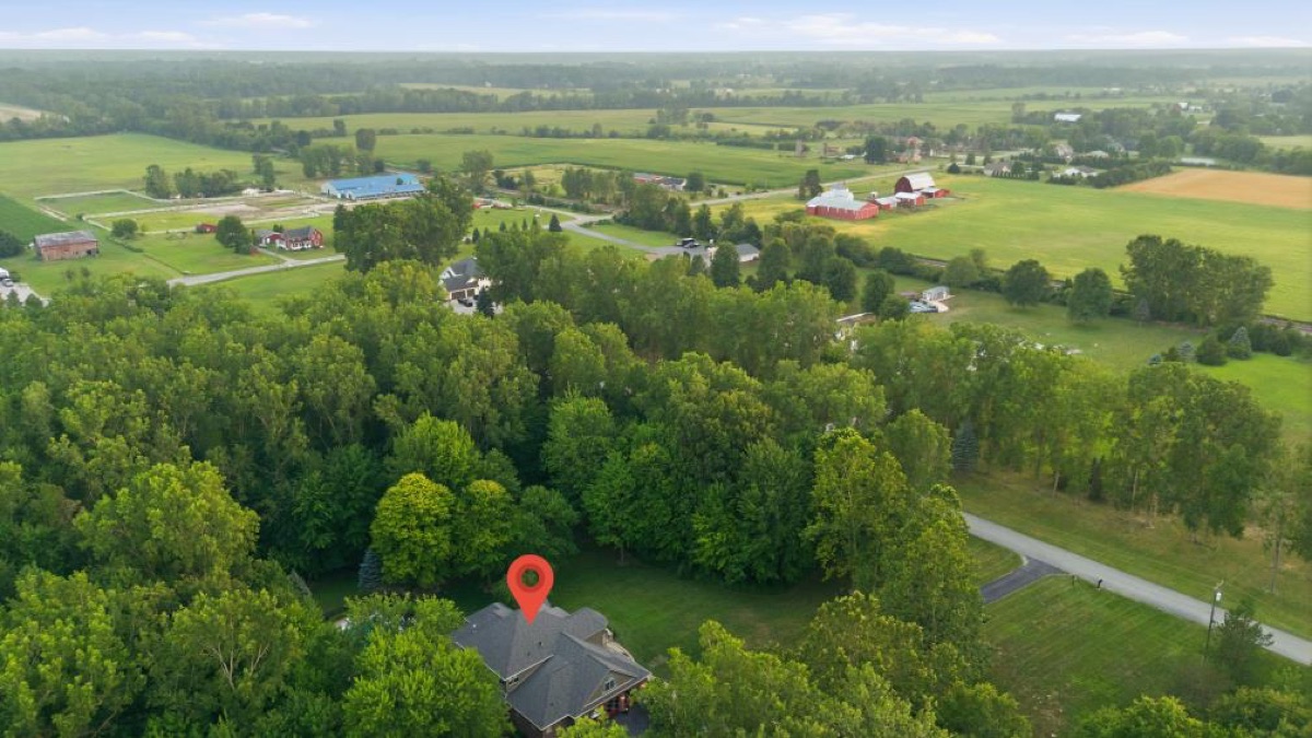 Aerial photo 10 — Carleton, MI
