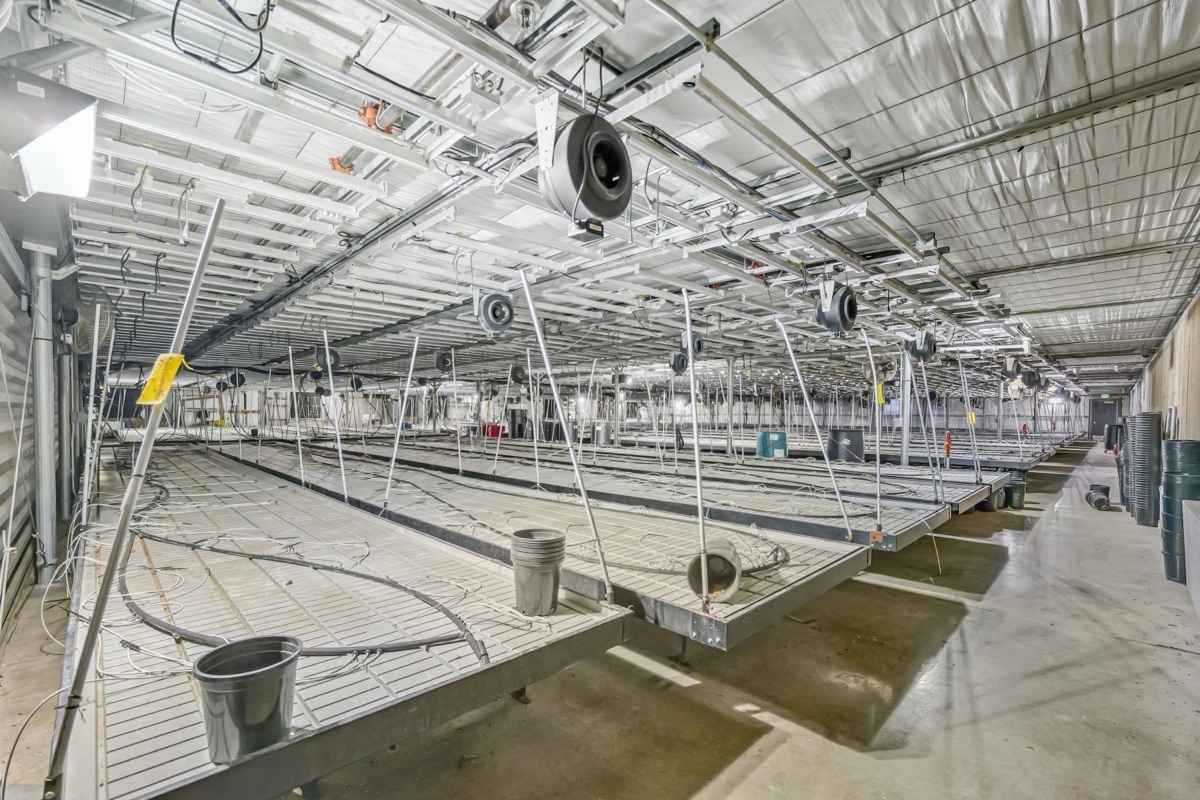 Listing photo 5 — Dimondale, MI