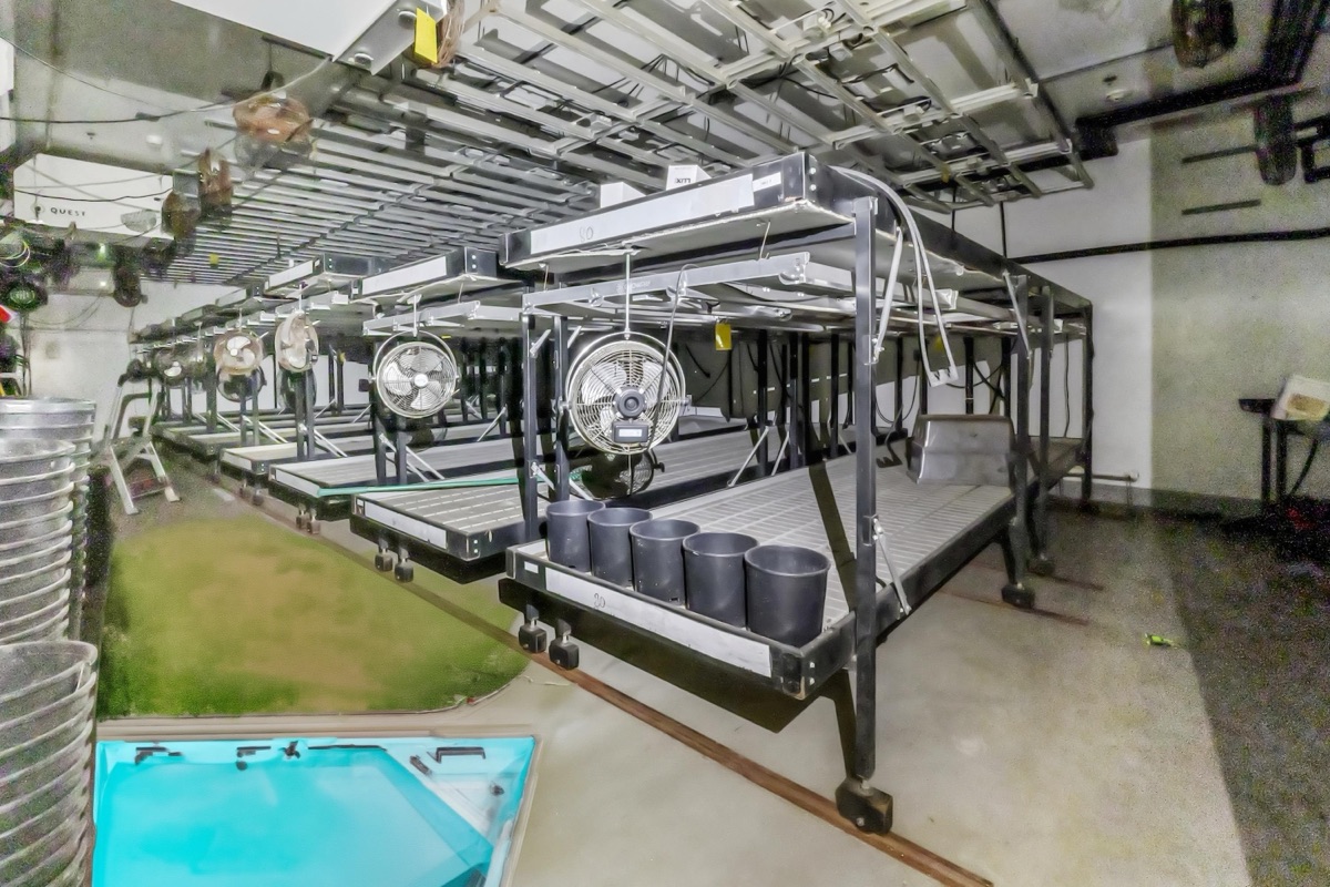 Listing photo 9 — Dimondale, MI